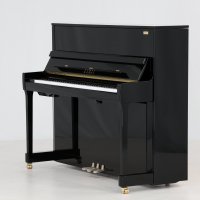 Gebraucht, Steinway & Sons, B-211