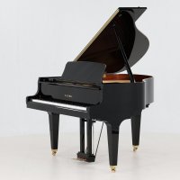 Usado, Kawai, GL-10