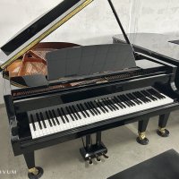 Occasion, Bosendorfer, 170