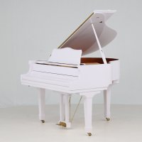 Usato, Hamlyn Klein