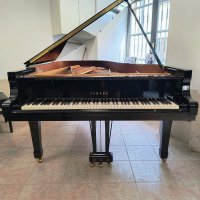 Usato, Yamaha, C5E