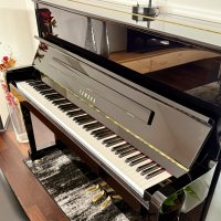 Usato, Yamaha, P121 M