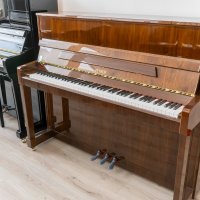 Nuevo, Petrof, P 118 M1