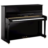 Yamaha P116 