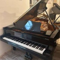 Occasion, Yamaha, C6