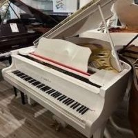 Occasion, Yamaha, G2
