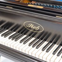 Ibach – Model 180 – Fully Restored