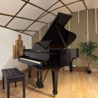 Gebraucht, Steinway & Sons, B-211