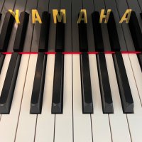 Gebraucht, Yamaha, C1X TA2