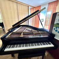 Används, Yamaha, G2