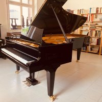 Occasion, C. Bechstein, E 280