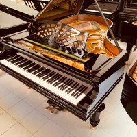 Occasion, C. Bechstein, B 203