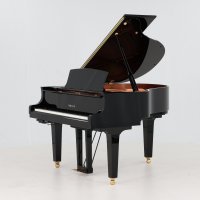 Gebruikte, Yamaha, C1X TA1