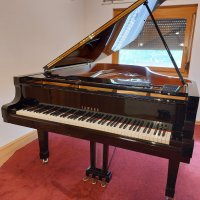 Occasion, Yamaha, C6