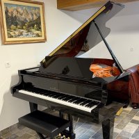 Usato, Schimmel, C 189 Tradition