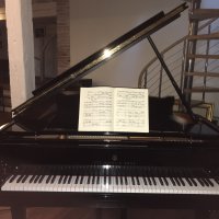 Usado, Steinway & Sons, B-211