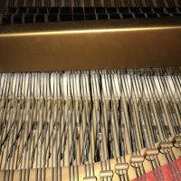 Används, Steinway & Sons, B-211
