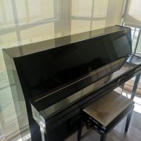 Usado, Yamaha, M108