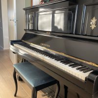 Occasion, C. Bechstein, 8 (III) 127