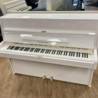 Usado, C. Bechstein, 12n