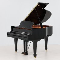 Usato, Yamaha, C1