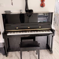 Usado, C. Bechstein, Otro