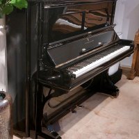 Używany, Steinway & Sons, T-138