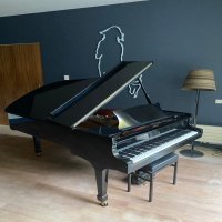 Occasion, Steinway & Sons, B-211