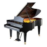 Gebruikte, C. Bechstein, B 203