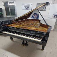 Używany, Yamaha, C7