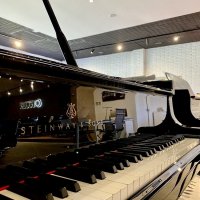 Occasion, Steinway & Sons, C-227