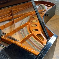 Bosendorfer concert grand