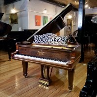 Används, Steinway & Sons, B-211