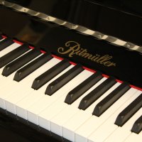 New, Ritmüller, Comfort 110