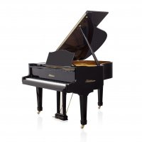 Usado, Bluthner, 170