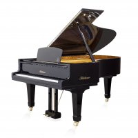 Usado, Bluthner, 2 (238)