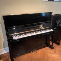 Blüthner piano with full sound