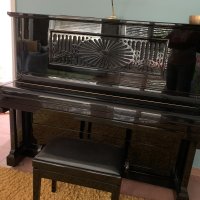 Gebruikte, C. Bechstein, Concert 8