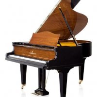 Occasion, C. Bechstein, A 182