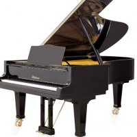 Usado, Bluthner, 225