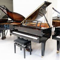 Feurich F162 – Dynamic I – Silent System