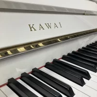 Används, Kawai, CX-9