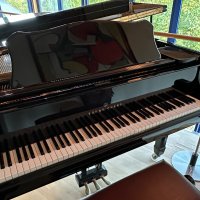 Används, Young Chang, G-185