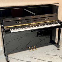 Gebraucht, Schimmel, C 116 Tradition