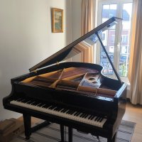 Occasion, Yamaha, G2