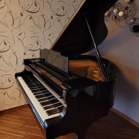 Gebraucht, Kawai, KG-1C