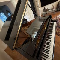 Used, Steinway & Sons, B-211