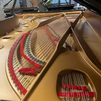 Occasion, Steinway & Sons, D-274