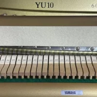 Usato, Yamaha, YU10