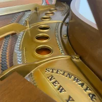 Steinway M Grand Piano - Excellent Condition!  Free Delivery Within 1000 Miles Of Atlanta! 
